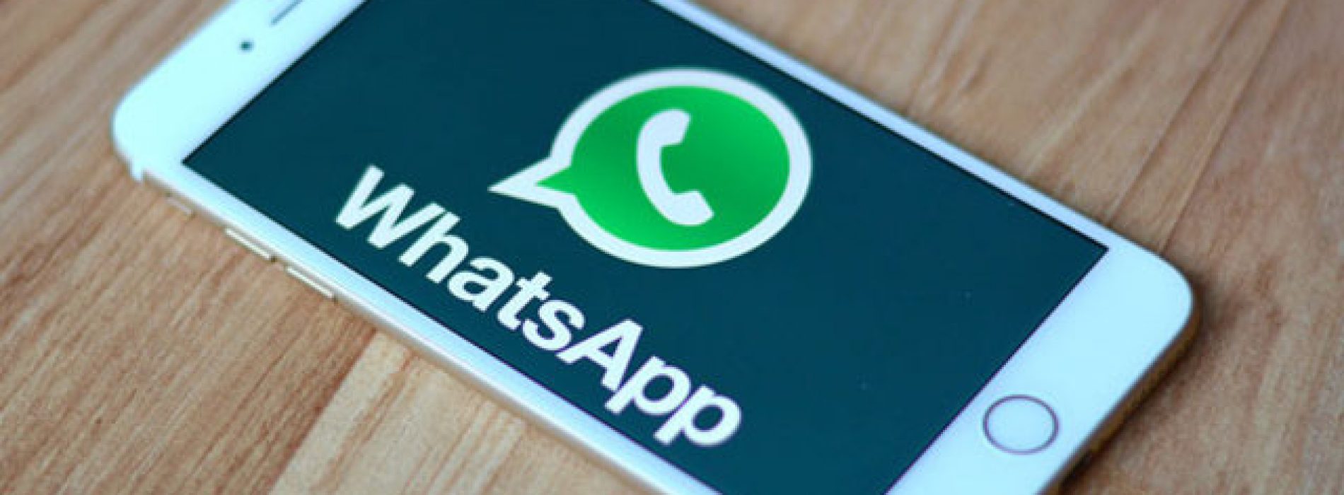 WhatsApp’a GIF özelliği Eklendi