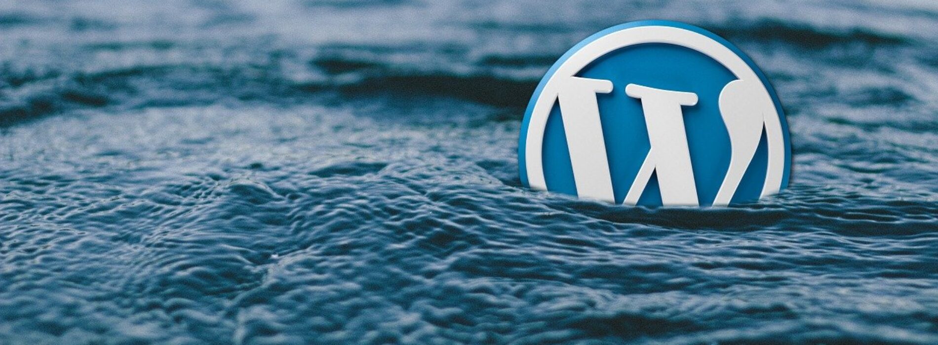 WordPress 4.2 Güncellemesi İle Gelen Yenilikler